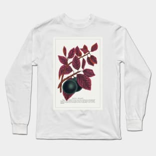 Prunus Pissardi Tree lithograph (1900) Long Sleeve T-Shirt